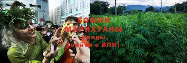 стаф Белоозёрский