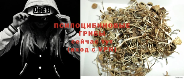 гашиш Богданович