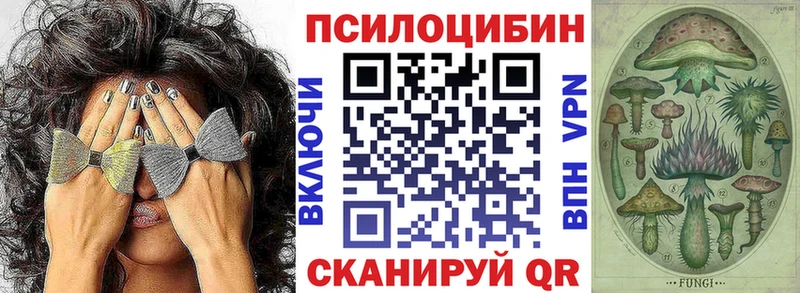 Галлюциногенные грибы MAGIC MUSHROOMS  Боготол 